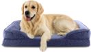 Lumaland Orthopedisch hondenbed van corduroy | Ergonomische hondensofa 110 x 75 cm | Blauw | Polyester, Kunstvezel, Schuim | L | Afneembare hoes: Ja | Rechthoek | Product lengte: 110 cm | Product breedte: 75 cm | Fabrikant: DS Produkte GmbH | Grote hondenrassen (30-80 kg) | Orthopedisch: Ja | Type dieren: Hond | Wasvoorschrift: Machinewas | Waterafstotend: Ja