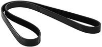 Metzger 5PK1155 DAYCO V-ribriem
