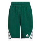 adidas uniseks-kind Y Everyday Pro Bball Short Shorts, team dark green, 7-8 Years