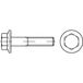 TOOLCRAFT TO-5391618 Zeskantbout M12 45 mm Buitenzeskant 100 stuk(s)