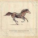 Membran 17% Fee Turnpike Troubadours A Long Way From Your Heart