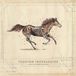 Membran 17% Fee Turnpike Troubadours A Long Way From Your Heart