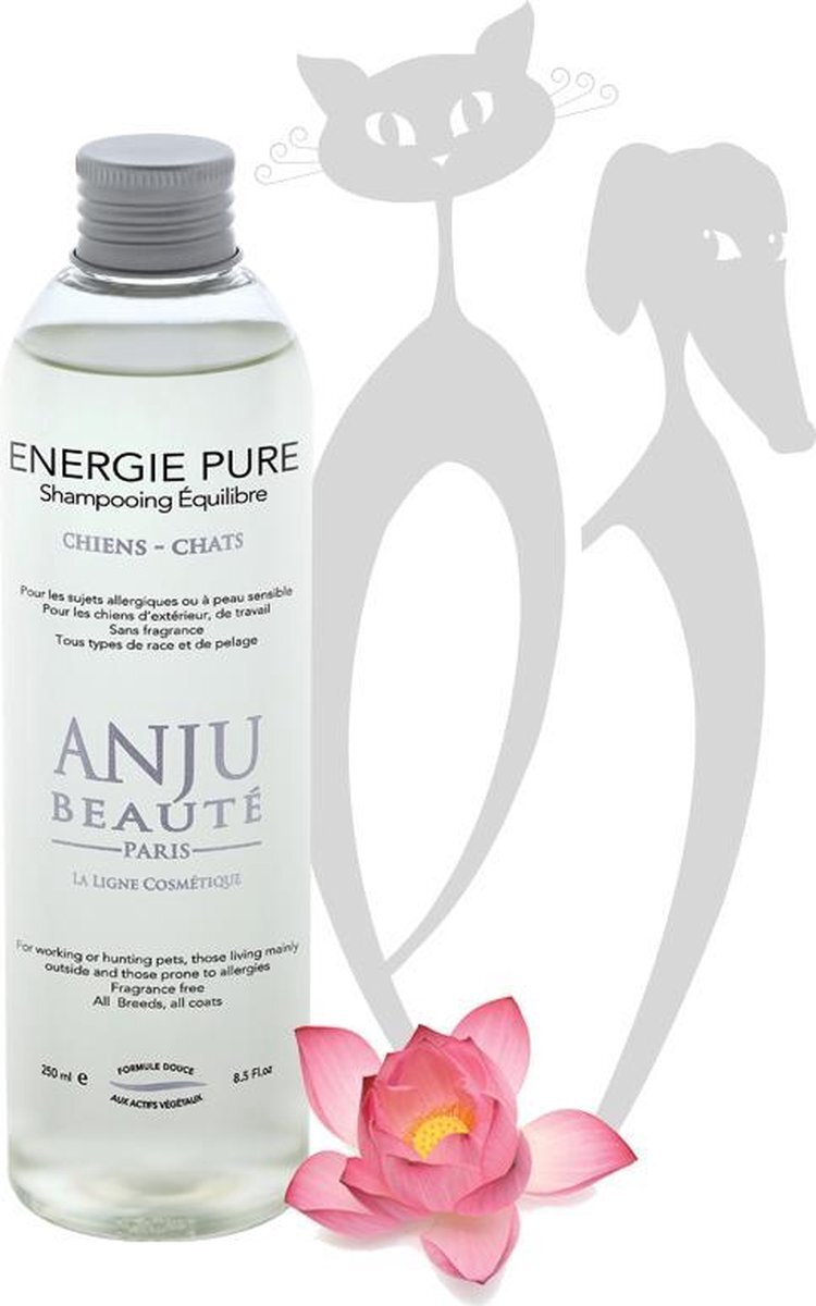 Anju Beauté Energie Pure Shampoo 500 mL