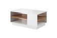 3xE living Table basse pour le salon avec étagère, blanc/Chêne Craft Gold, 100 x 60 x 45,5 cm
