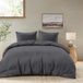 Dreamzie dekbedovertrek 200x200 cm met 2 kussenslopen 65x65 cm - Gris foncé - Beddenset 200x200 cm van 100% microvezel - 3-delig - Gecertificeerd chemicaliënvrij (Oeko-Tex)
