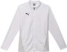 Puma TeamGoal Veste d'entraînement 658633