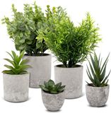 Ibenzoa® Set van 5 Levensechte Kunstplanten