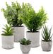 Ibenzoa® Set van 5 Levensechte Kunstplanten