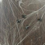 Merkloos / Sans marque Folat Bv Decoratie spinnenweb zakjes - 5x zakjes - 20 gram - Halloween/Horror - feestartikelen/versieringen