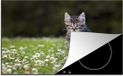 Merkloos KitchenYeah® Inductie beschermer 77x51 cm - Bloemen - Kitten - Lente - Inductie kookplaat accessoire