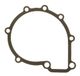 Gasket, Icecat Gasket, water pump