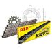 Kettingset DID Kettingset Stealth 520VX3 / 118 klinkslot goud voor Yamaha XJ6 Diversion ABS F 600 cc Bj. 2009-2016