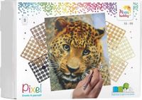 Pixelhobby Pixel kit 9 basisplaten Leopard (luipaard) 30,5 x 38,1 cm 90050
