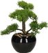 Atmosphera bonsai boompje in keramische pot - 36 cm - groen - kunstplant