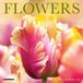 Flowers Willow Creek Press Flowers 2027 7 X 7 Mini Wall Calendar