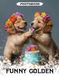 Funny Golden Photo Book: Hilarious Retriever Images