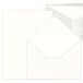 50 Kraft 50 stuks kraft-enveloppen met blanco vouwkaarten, briefpapier voor knutselwerk, uitnodigingen, felicitaties, Thanksgiving, DIN C6/A5, wit