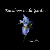 Raindrops in the Garden