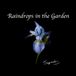 Raindrops in the Garden
