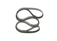 BOSCH Keilrippenriemen 1987946064
