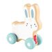 Fisher-Price Houten Duwkonijntje Speelgoedvoertuig voor baby's die kruipen. 1 Stuk Hout