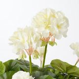 Mica Decorations Geranium Kunstplant in Bloempot Stan - H34 x Ø20 cm - Crème