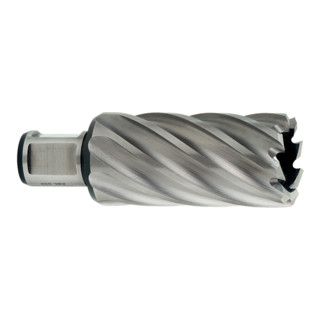 Metabo HSS Kernboor 31x55 mm - Weldon Schacht 19 mm (3/4") - 1 Stuk