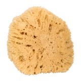 Niyok® Grote natuurspons, zachte natuurlijke badspons, duurzame lichaamsspons voor douche en badkamer, plasticvrij en biologisch afbreekbaar, natuurlijke spons uit Europa, zeespons