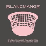Bertus Distributie Blancmange Everything Is Connected