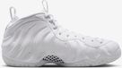 Nike Air Foamposite One HJ5195100