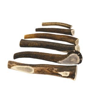 Brekz Snacks - Antler voor de hond M - Per 2