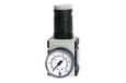 drukregelaar, RIEGLER FUTURA drukregelaar, doorg. drukverzorging, inclusief Mano, BG 2, G 1/2, PE max. 16 bar, temp. -10 °C tot 50 °C, regelaar. 0,1 – 2 bar.
