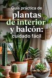 Guía práctica de plantas de interior y balcón (cuidado fácil)