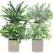 Unyqoos® 4 stuks kunstplanten vert avec pots gris, 7,8 x 24 cm