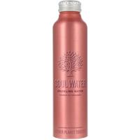 Soul Water Bruisend Mineraalwater Fles - 500 ml