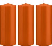 Trend Candles Bougie cylindrique/bougie tronc - 3x - orange - 8 x 20 cm - 119 heures de combustion