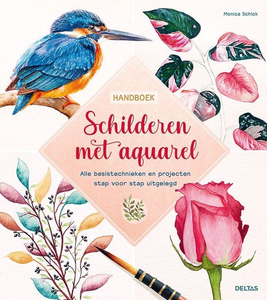 Schilderen Zuidnederlandse Uitgeverij Schilderen met aquarel: handboek
