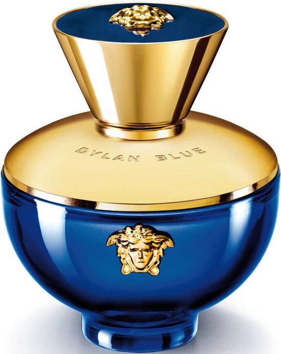 Versace Dylan Blue / 100 (ml) / Dames