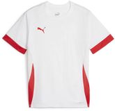 Puma TeamGOAL Matchday Shirt Junior - Maat 152