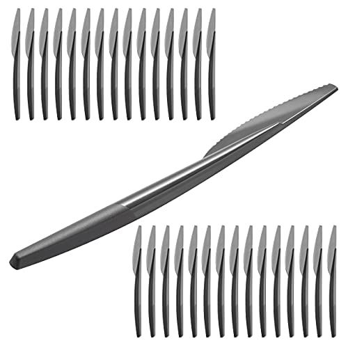 Grizzly Bestekset van kunststof, 30 herbruikbare messen, stabiel, vaatwasmachinebestendig, herbruikbaar grijs bestek