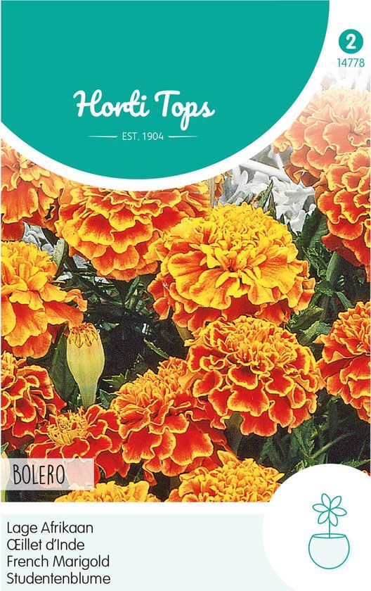 Hortitops Tagetes Patula Nana Bolero Bloemenzaad