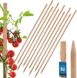 KOTARBAU® 10 st Tomatenstokken, Plantenstok, Beukenhout, 150 cm