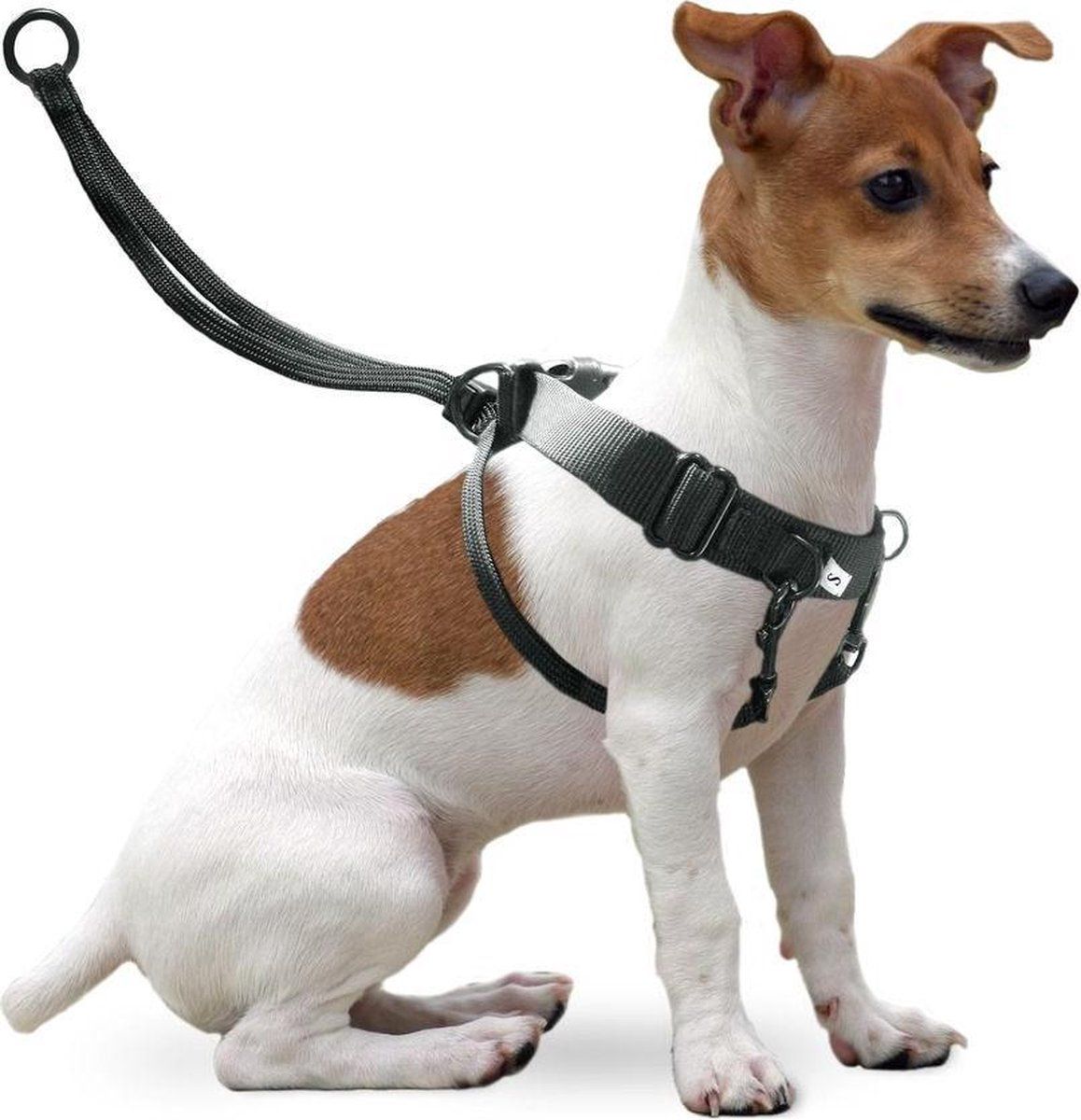 FLAMINGO Easy walker l - black 40-58 cm
