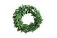 Creative Co-Op DA5560 21.5" Ronde Buxus Krans