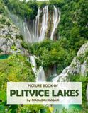 Plitvice Lakes: A Stunning Coffee Table Photo Book for Travel and Tourism Enthusiasts