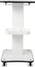 Chariot de beauté - Trolley à 3 niveaux pour salons de beauté - 4 roues - Cadre en bois, métal/ABS - Convient pour salons de manucure, spas, massages - Auto-assemblage - Blanc