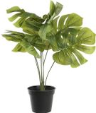Item International Items Kunstplant Monstera plant in bloempot - Groen - 30 x 50 cm