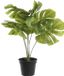 Item International Items Kunstplant Monstera plant in bloempot - Groen - 30 x 50 cm