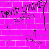 El David Lindley And El Rayo-X - El Rayo Live (CD)