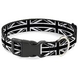 Buckle Down 15-66 cm Union Jack verouderd zwart/wit kunststof clip kraag, groot